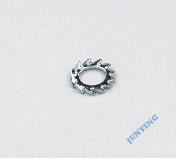 External Tooth Lock Washer