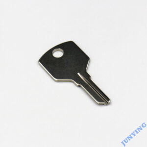 plunger lock key