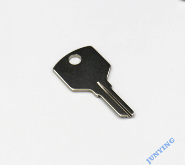plunger lock key